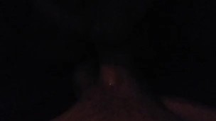 Swallow pov