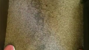 Carpet pissing