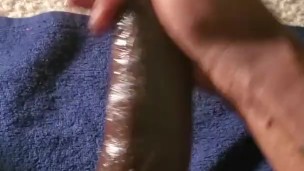 Early morning Nut