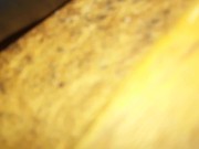 KINGPIN GIRLZ BOOTY FUCK 16/16