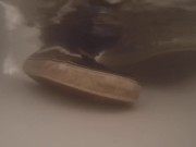 Piss Skinny Jeans, Vans Old Skool and Clothed Bath 8/16