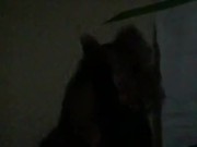LateNight Session  - Screenshot 6 of 16 - HD