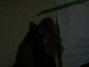 LateNight Session  - Screenshot 7 of 16 - Male