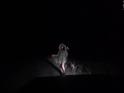 Horny Slut with Butt Plug Deepthroat and Ass Fuck Outdoor 1/16