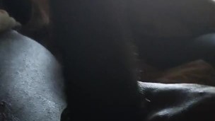 Bored and Horny
