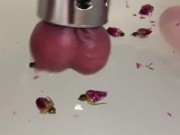 Low Hanging Balls Ballstretching Scrolicious Testicles Bath Sex 16/16