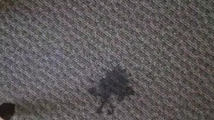 Squirting piss in bosses office 