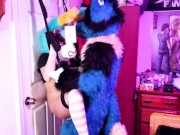 PiperThebun x Sucario Breeding on a Door Sex Swing 11/16