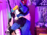 PiperThebun x Sucario Breeding on a Door Sex Swing 15/16