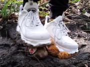 Teddy vs. Buffalo Sneaker