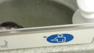 Playing with my dick onboard.