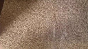Chair flood desperate