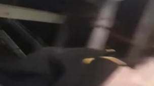 Sc Kyle Butler Selfie Big Load