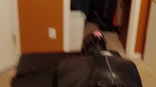 Hairless rubber gimp plugged and in chastity, training