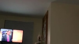 Ass BOUNCE on bbc