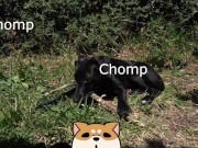 Naughty Bitch gets all wet and enjoy herself 1/16