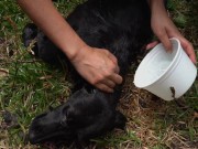 Naughty Bitch gets all wet and enjoy herself 10/16