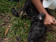 Naughty Bitch gets all wet and enjoy herself 11/16