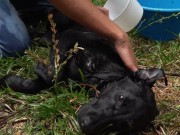 Naughty Bitch gets all wet and enjoy herself 12/16