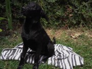 Naughty Bitch gets all wet and enjoy herself 13/16