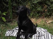 Naughty Bitch gets all wet and enjoy herself 15/16