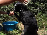 Naughty Bitch gets all wet and enjoy herself 3/16