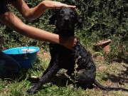 Naughty Bitch gets all wet and enjoy herself 4/16