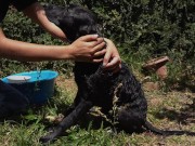 Naughty Bitch gets all wet and enjoy herself 5/16