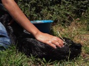 Naughty Bitch gets all wet and enjoy herself 7/16