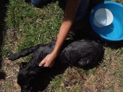 Naughty Bitch gets all wet and enjoy herself 8/16