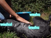 Naughty Bitch gets all wet and enjoy herself 9/16