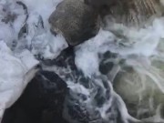 Pissing off a bridge in broad daylight