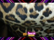 เพื่อนเราเป็นเสือ Example of a friend wearing a tiger pattern Thailand 3/16