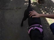 Bitch Loves To Get Naked At The Park And Enjoy Herself When Watched 1/16