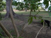 Bitch Loves To Get Naked At The Park And Enjoy Herself When Watched 10/16