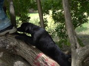 Bitch Loves To Get Naked At The Park And Enjoy Herself When Watched 13/16