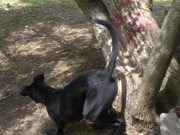 Bitch Loves To Get Naked At The Park And Enjoy Herself When Watched 14/16