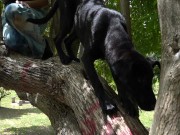 Bitch Loves To Get Naked At The Park And Enjoy Herself When Watched 16/16