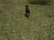 Bitch Loves To Get Naked At The Park And Enjoy Herself When Watched 4/16