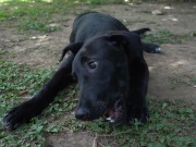 Bitch Loves To Get Naked At The Park And Enjoy Herself When Watched 5/16