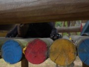 Bitch Loves To Get Naked At The Park And Enjoy Herself When Watched 8/16