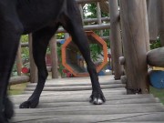 Bitch Loves To Get Naked At The Park And Enjoy Herself When Watched 9/16