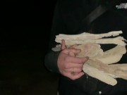 Homeless to Pornstars! Part 2 (NON-PORN) 12/16