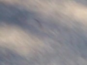 ant dragging this poor spider to his doom  16/16