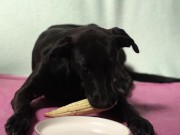 Italian Lesbian Filtered VIDEO of Bitch Swallowing IT ALL 10/16