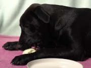 Italian Lesbian Filtered VIDEO of Bitch Swallowing IT ALL 14/16