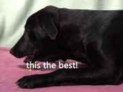 Italian Lesbian Filtered VIDEO of Bitch Swallowing IT ALL 15/16