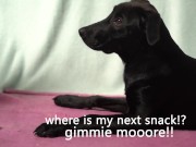 Italian Lesbian Filtered VIDEO of Bitch Swallowing IT ALL 16/16