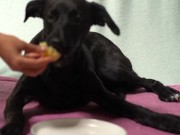 Italian Lesbian Filtered VIDEO of Bitch Swallowing IT ALL 3/16