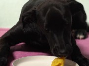 Italian Lesbian Filtered VIDEO of Bitch Swallowing IT ALL 7/16